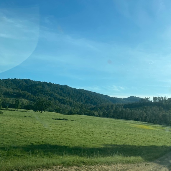 Meet your Posher, Megan - Picture 1 of 1